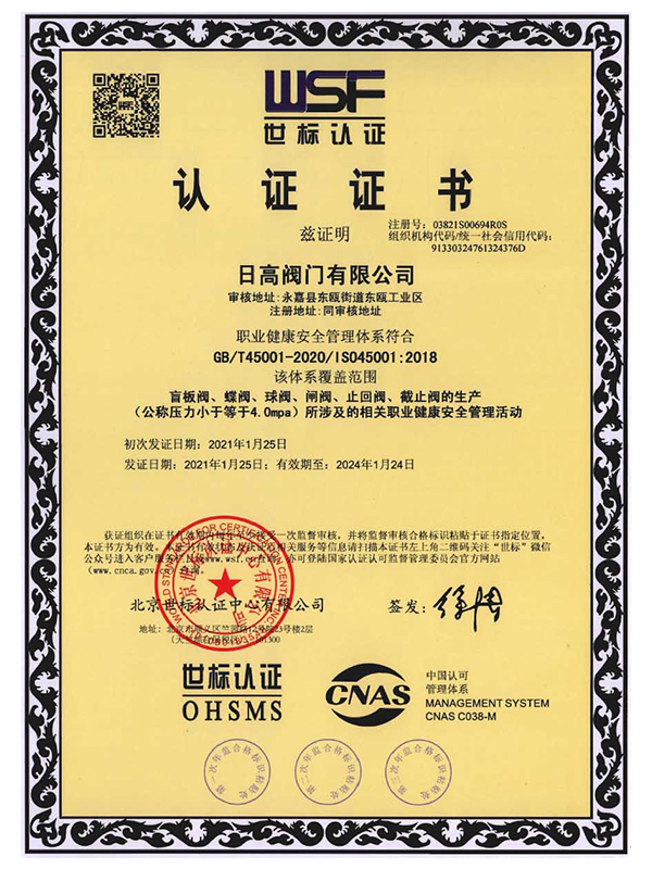 ISO45001认证证书